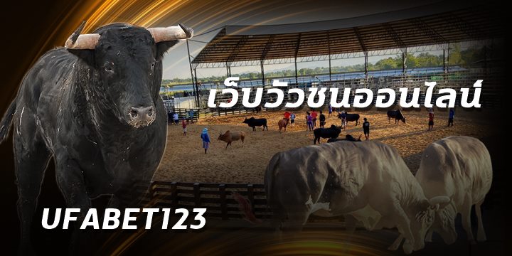 เว็บวัวชนออนไลน์