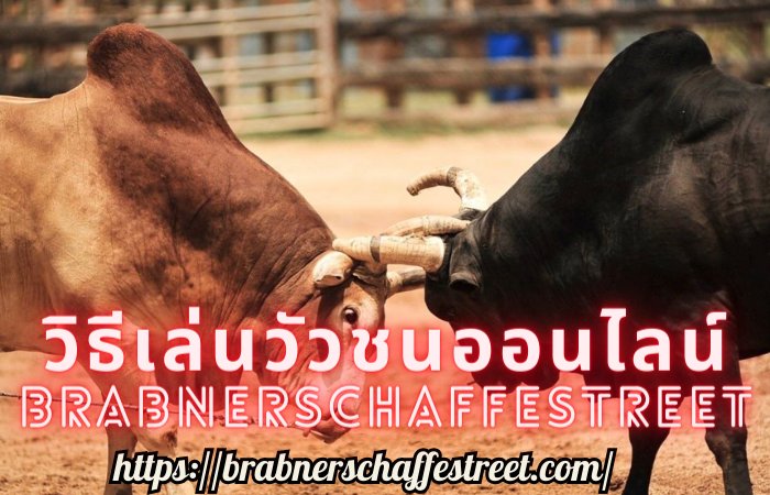 วิธีเล่นวัวชนออนไลน์