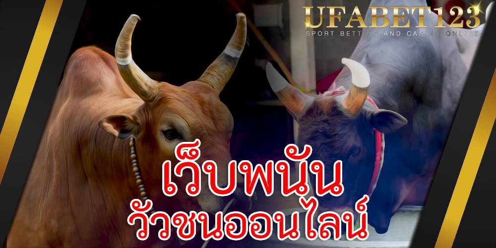 เว็บพนันวัวชนออนไลน์